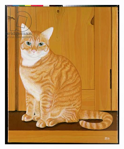Постер Marmalade cat by a door с типом исполнения На холсте в раме в багетной раме 221-03