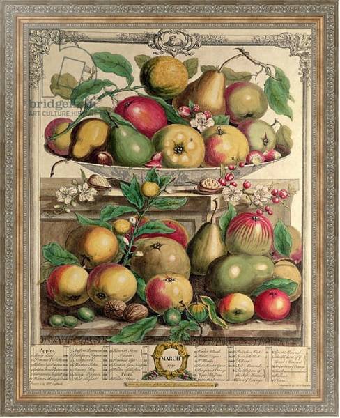 Постер March, from 'Twelve Months of Fruits', by Robert Furber engraved by Henry Fletcher, 1732 с типом исполнения На холсте в раме в багетной раме 484.M48.310