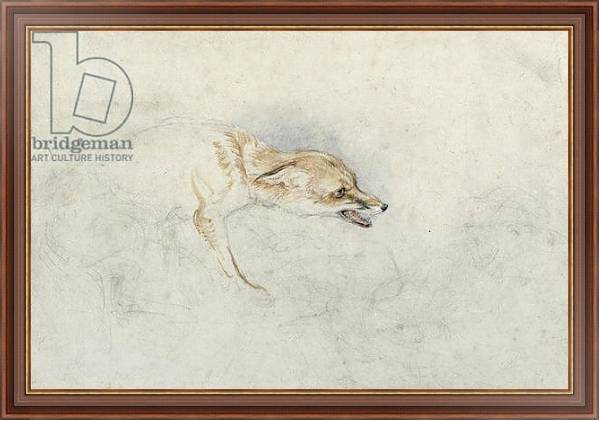 Постер Study of a crouching Fox, facing right verso: faint sketch of fox's head and tail с типом исполнения На холсте в раме в багетной раме 35-M719P-83