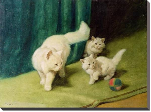 Постер White Persian Cat with Two Kittens с типом исполнения На холсте без рамы