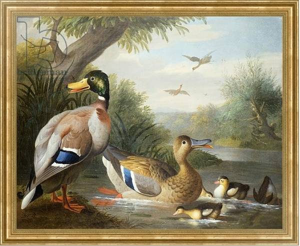 Постер Ducks in a River Landscape с типом исполнения На холсте в раме в багетной раме NA033.1.051
