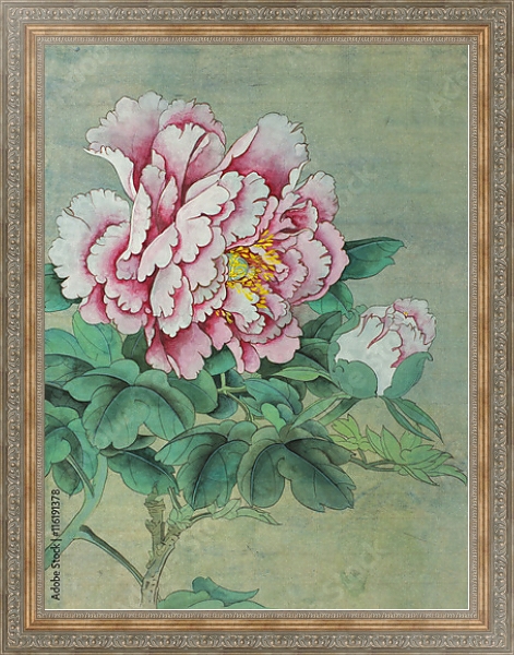Постер Нежно-розовый цветок пиона с бутоном  с типом исполнения На холсте в раме в багетной раме 484.M48.310