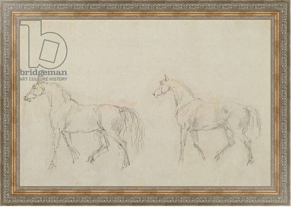 Постер Two horses walking left с типом исполнения На холсте в раме в багетной раме 484.M48.310