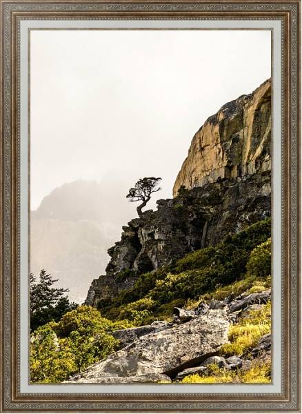 Постер Сосна на крутом обрыве, национальный парк Торрес-дель-Пейн, Чили с типом исполнения На холсте в раме в багетной раме 595.M52.330