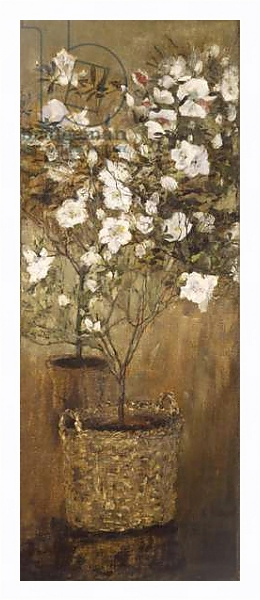 Постер Pots of azaleas, 1884-1885, by Giovanni Segantini, oil on canvas с типом исполнения На холсте в раме в багетной раме 221-03