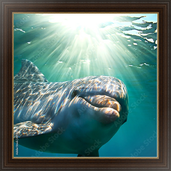 Постер Дельфин под водой с солнечными лучами с типом исполнения На холсте в раме в багетной раме 1.023.151