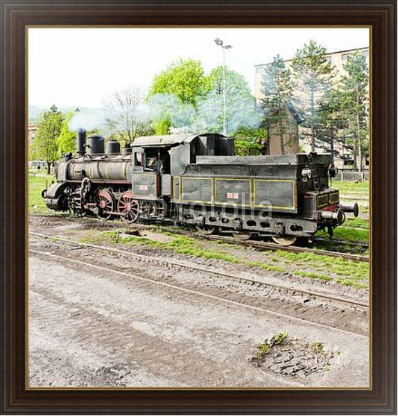 Постер Паровой локомотив, Ресавица, Сербия с типом исполнения На холсте в раме в багетной раме 1.023.151