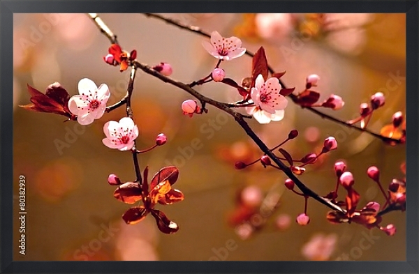 Постер Ветки цветущей сакуры в красных оттенках с типом исполнения На холсте в раме в багетной раме 1727.8010