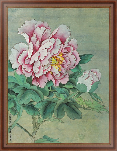 Постер Нежно-розовый цветок пиона с бутоном  с типом исполнения На холсте в раме в багетной раме 35-M719P-83