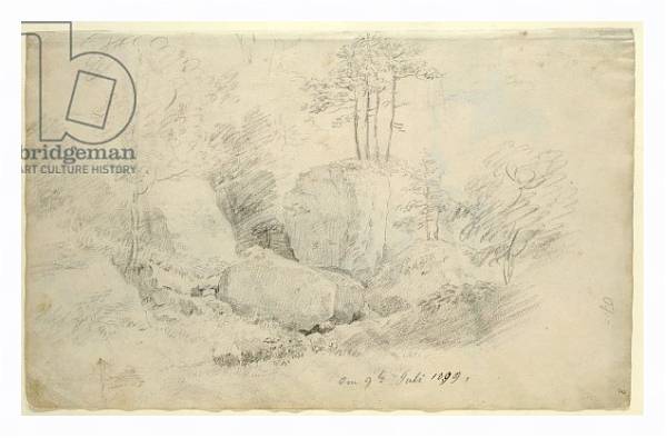 Постер Boulders in Woodland, 1800 с типом исполнения На холсте в раме в багетной раме 221-03
