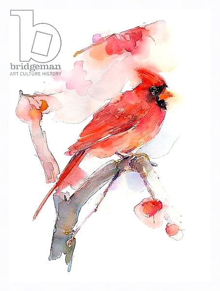 Постер Red cardinal, 2016, с типом исполнения На холсте в раме в багетной раме 221-03