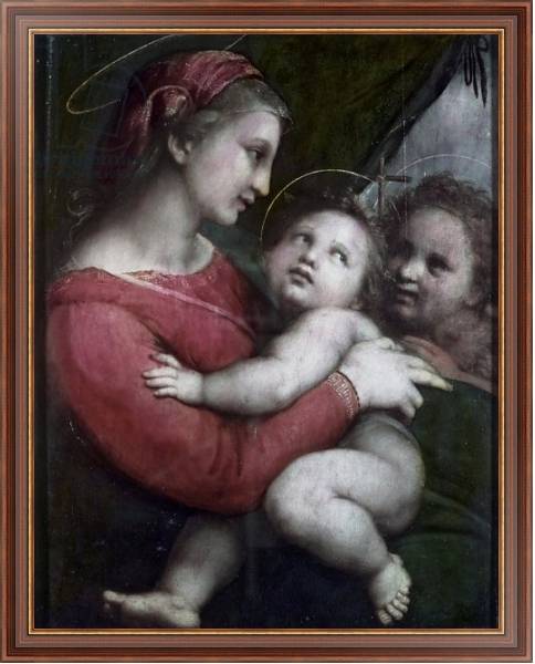 Постер Madonna della Tenda, c.1512 с типом исполнения На холсте в раме в багетной раме 35-M719P-83