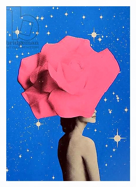 Постер The secret woman, 2017, с типом исполнения На холсте в раме в багетной раме 221-03