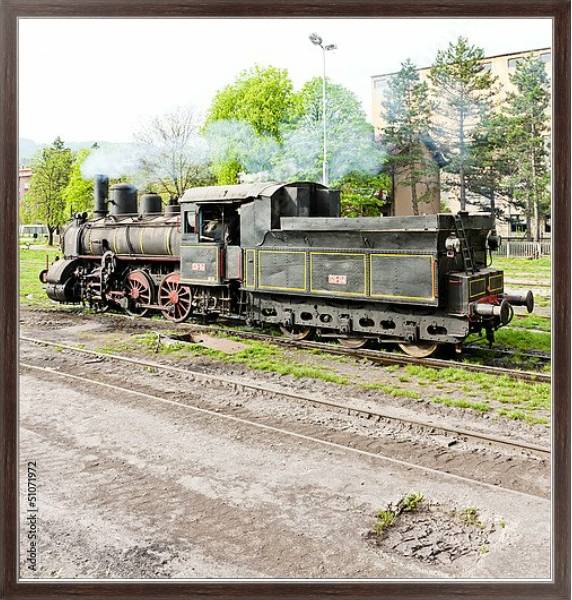 Постер Паровой локомотив, Ресавица, Сербия с типом исполнения На холсте в раме в багетной раме 221-02