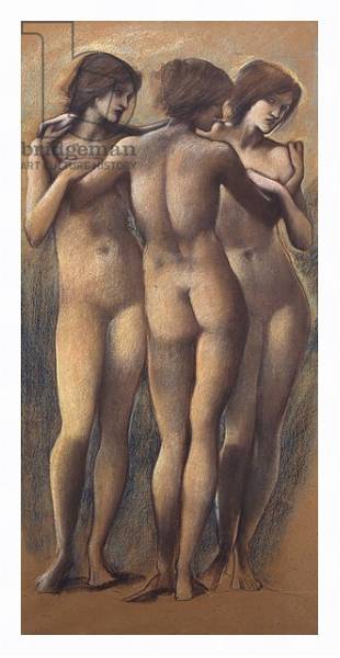 Постер The Three Graces, c.1885 с типом исполнения На холсте в раме в багетной раме 221-03