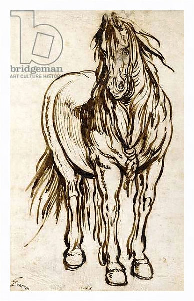 Постер Study of a Horse, с типом исполнения На холсте в раме в багетной раме 221-03