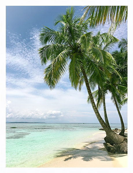 Постер Белый пляж с пальмами с типом исполнения На холсте в раме в багетной раме 221-03