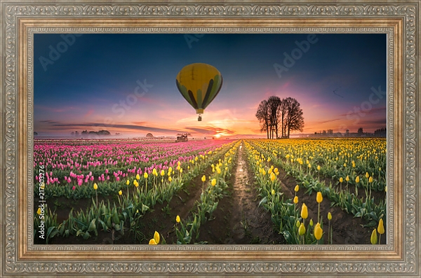 Постер Воздушные шары, парящие над полем тюльпанов с типом исполнения На холсте в раме в багетной раме 484.M48.310