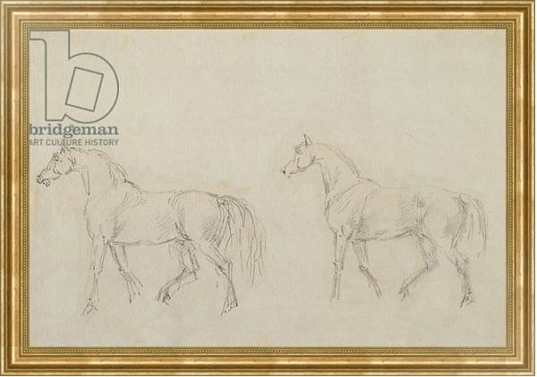 Постер Two horses walking left с типом исполнения На холсте в раме в багетной раме NA033.1.051