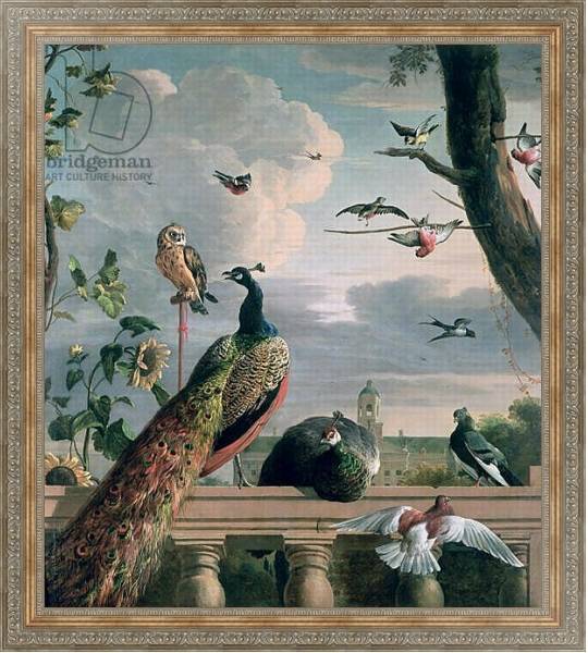 Постер Palace of Amsterdam with Exotic Birds с типом исполнения На холсте в раме в багетной раме 484.M48.310