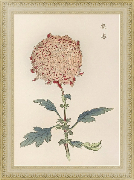 Постер Keika hyakugiku, Pl.21 с типом исполнения Акварель в раме в багетной раме 484.M48.725