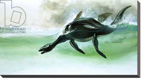 Постер Plesiosaurus с типом исполнения На холсте без рамы