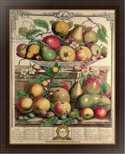 Постер March, from 'Twelve Months of Fruits', by Robert Furber engraved by Henry Fletcher, 1732 с типом исполнения На холсте в раме в багетной раме 1.023.151
