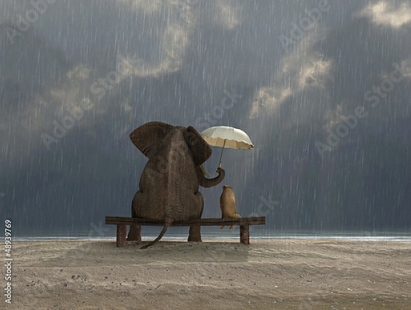 Постер Слон и собака под зонтом с типом исполнения На холсте без рамы