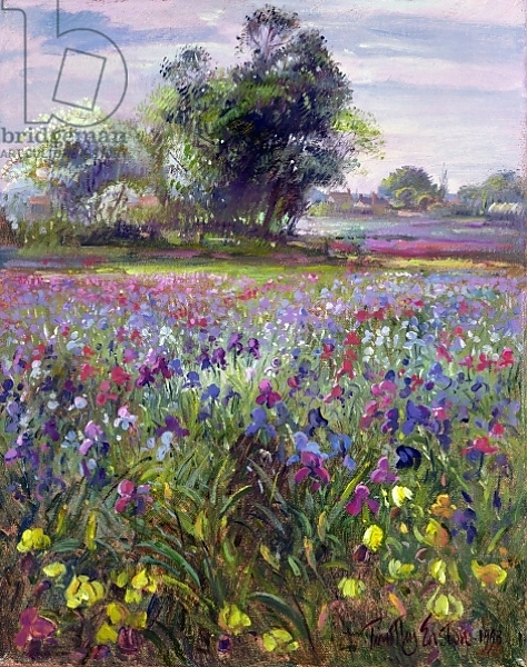 Постер Irises and Distant May Tree, 1993 с типом исполнения На холсте без рамы