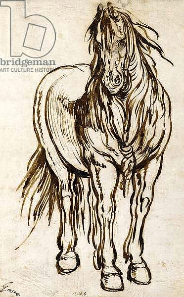 Постер Study of a Horse, с типом исполнения На холсте без рамы