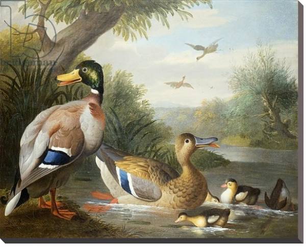 Постер Ducks in a River Landscape с типом исполнения На холсте без рамы