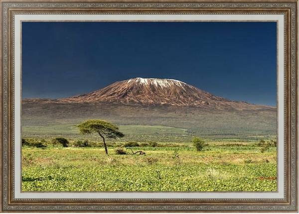 Постер Килиманджаро с типом исполнения На холсте в раме в багетной раме 595.M52.330