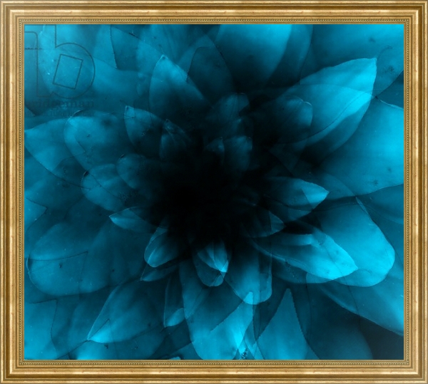 Постер flower blue с типом исполнения На холсте в раме в багетной раме NA033.1.051