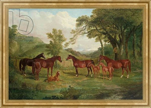 Постер The Streatlam Stud, Mares and Foals, 1836 с типом исполнения На холсте в раме в багетной раме NA033.1.051