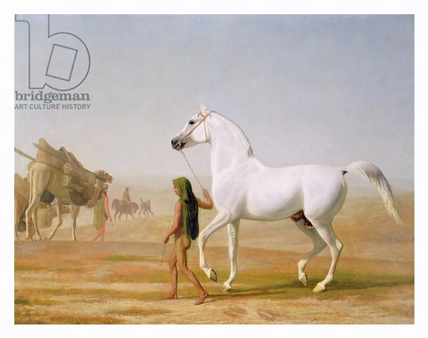 Постер The Wellesley Grey Arabian led through the Desert, c.1810 с типом исполнения На холсте в раме в багетной раме 221-03
