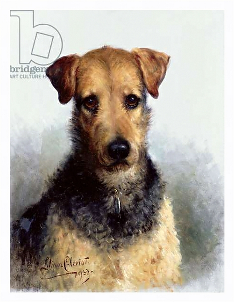 Постер Wire Fox Terrier, 1933 с типом исполнения На холсте в раме в багетной раме 221-03