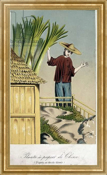 Постер Plante a Papier de Chine с типом исполнения На холсте в раме в багетной раме NA033.1.051