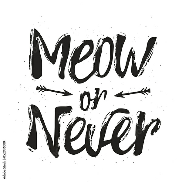 Постер Meow or never с типом исполнения На холсте без рамы