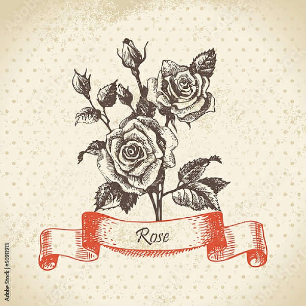 Постер Иллюстрация с розами с типом исполнения На холсте без рамы