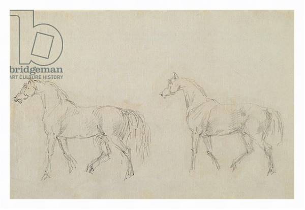 Постер Two horses walking left с типом исполнения На холсте в раме в багетной раме 221-03