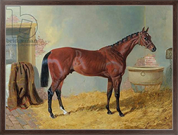 Постер Mr S. Wrather's 'Nutwith' in a stable с типом исполнения На холсте в раме в багетной раме 221-02