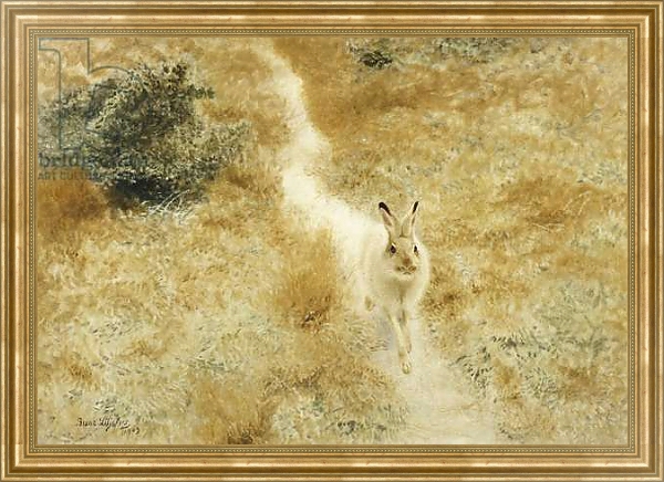 Постер A Winter-Hare in a Landscape, 1909 с типом исполнения На холсте в раме в багетной раме NA033.1.051
