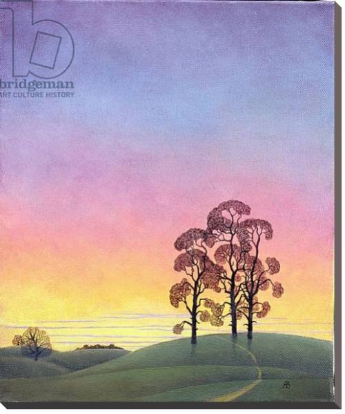 Постер Path through the Pines, 2004 с типом исполнения На холсте без рамы