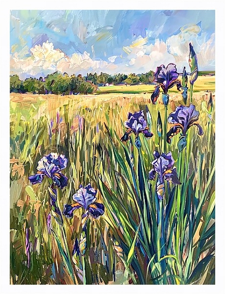 Постер Irises on the edge of the field с типом исполнения На холсте в раме в багетной раме 221-03