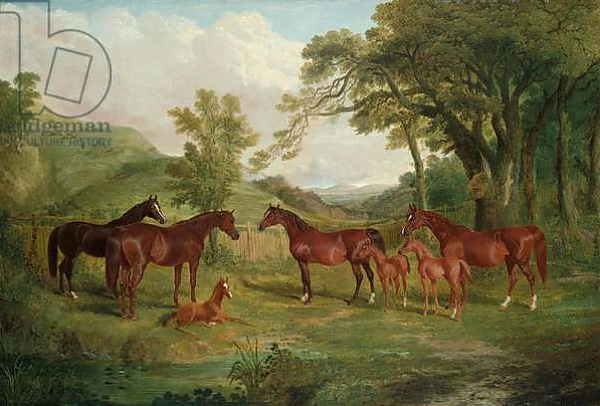 Постер The Streatlam Stud, Mares and Foals, 1836 с типом исполнения На холсте без рамы