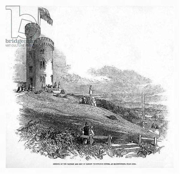 Постер Opening of the Mathew and City of London Temperance Tower, at Mount Patrick, near Cork, 1846 с типом исполнения На холсте в раме в багетной раме 221-03