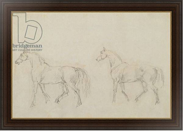 Постер Two horses walking left с типом исполнения На холсте в раме в багетной раме 1.023.151