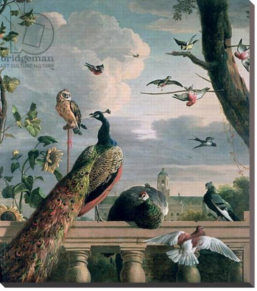 Постер Palace of Amsterdam with Exotic Birds с типом исполнения На холсте без рамы