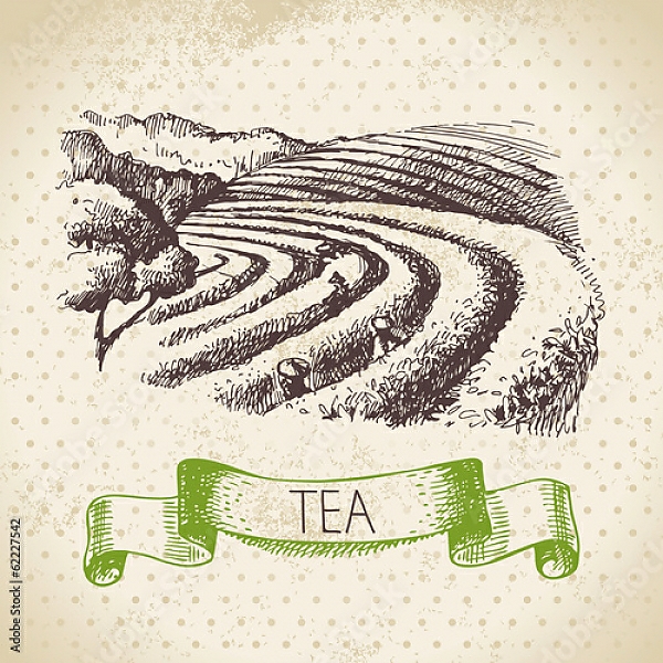 Постер Иллюстрация с чайными плантациями с типом исполнения На холсте без рамы