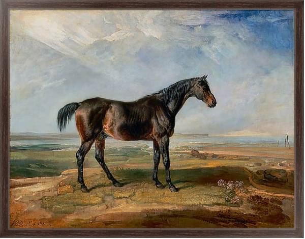 Постер Racehorse Standing in a Coastal Landscape an Estuary Beyond 1820 с типом исполнения На холсте в раме в багетной раме 221-02